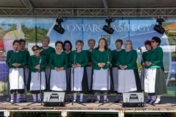 Vonyarcvashegy