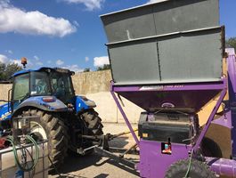 Kukorica roppantás - Szany