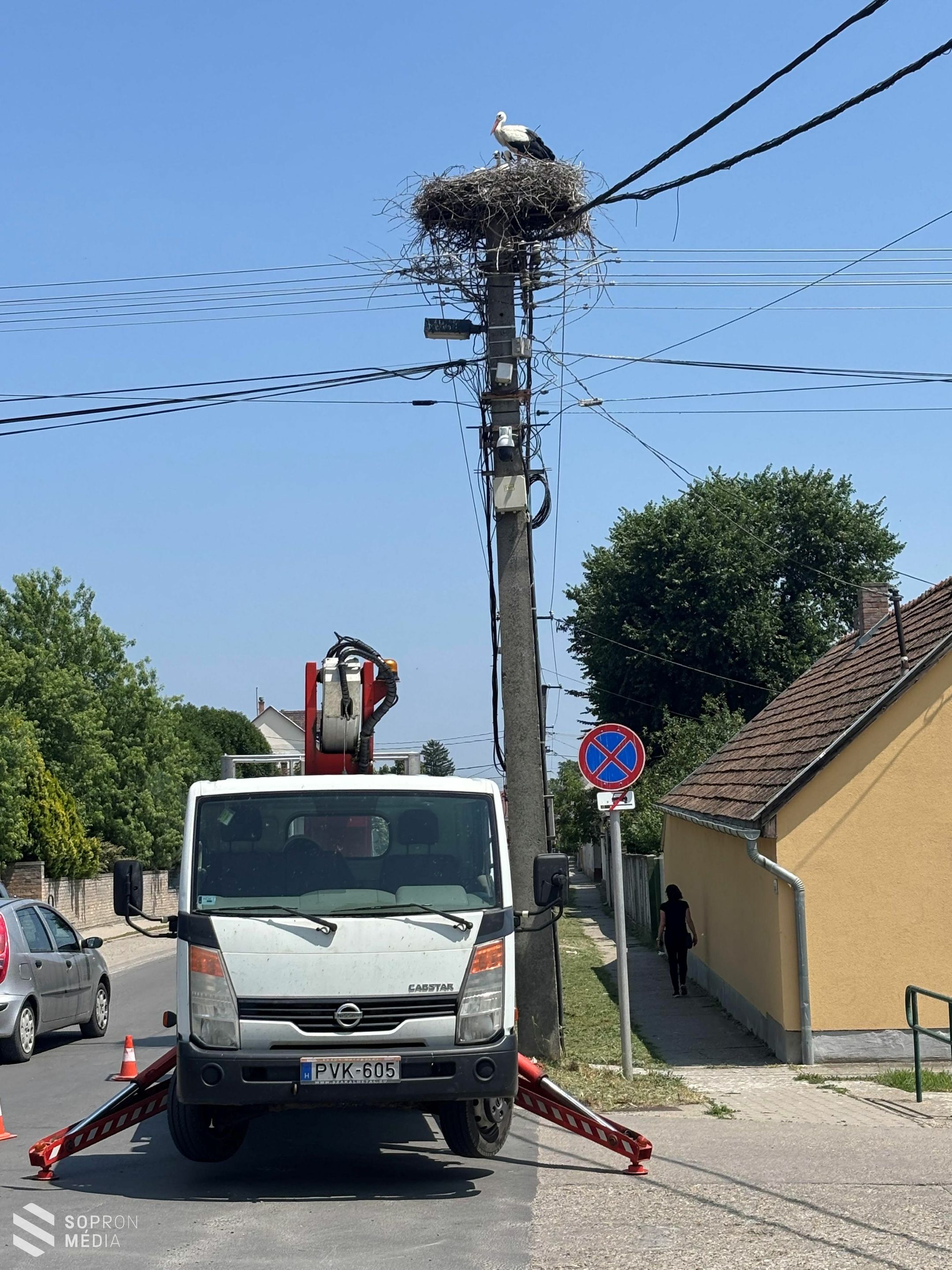 199 településen 297 fészeknél 915 gólyafióka gyűrűzésében segített az E.ON
