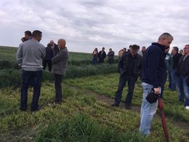 Szántóföldi Takarmánynövények Fajtabemutató 2017 - Paks