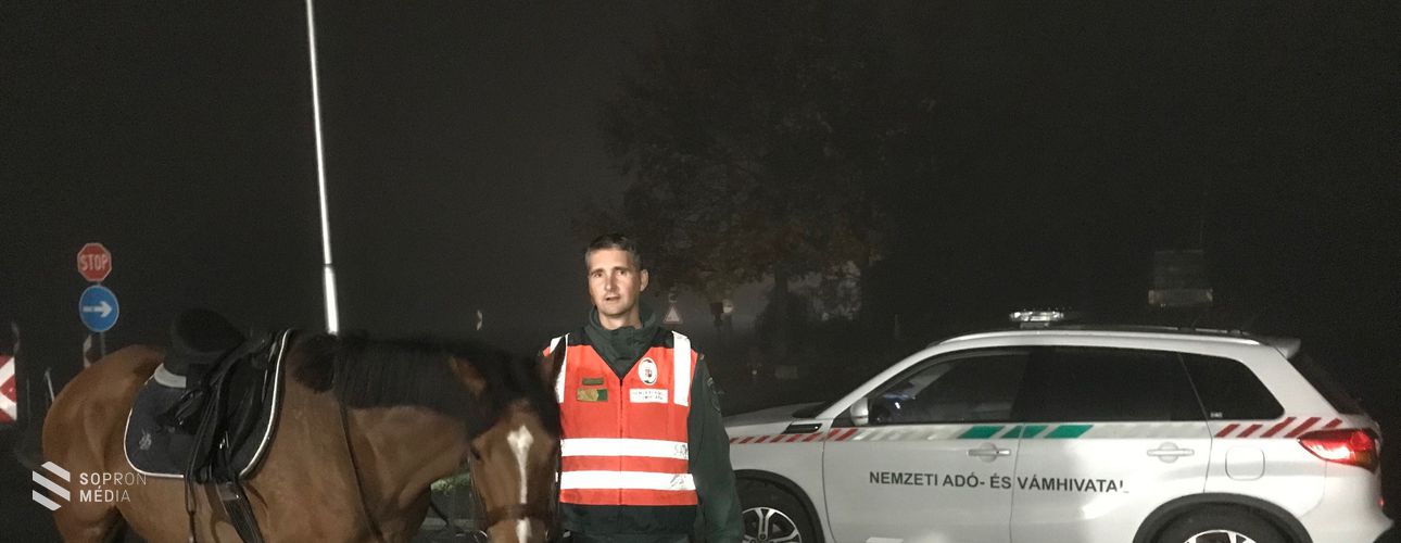 Kóbor lovat találtak Sopronnál a NAV munkatársai!
