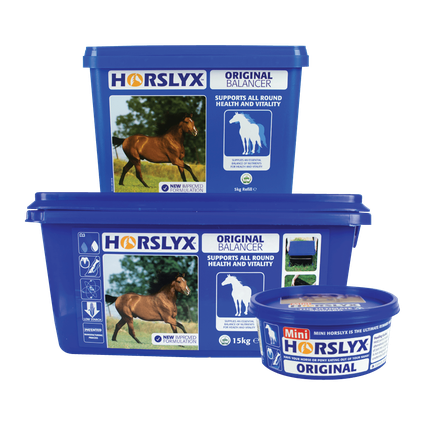 HORSLYX ORIGINAL  5kg
