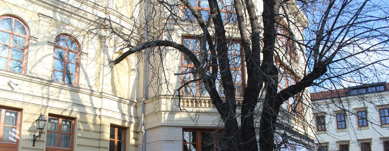 Szárnybontogató a Liszt Központban- ahol az egész család szárnyalhat!