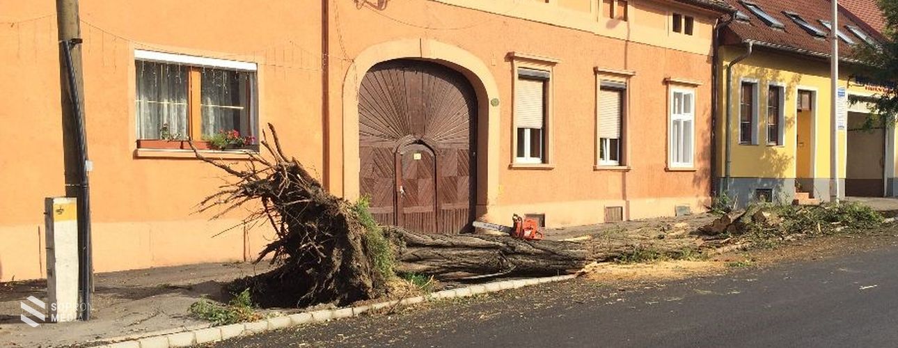 Az augusztusi viharok az átlagosnál több kárt okoztak