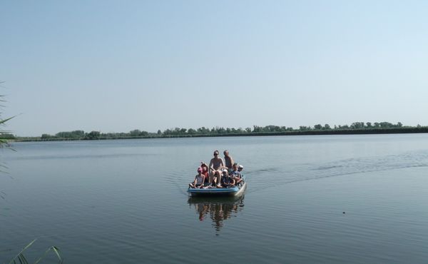 Napközis Tábor 2013