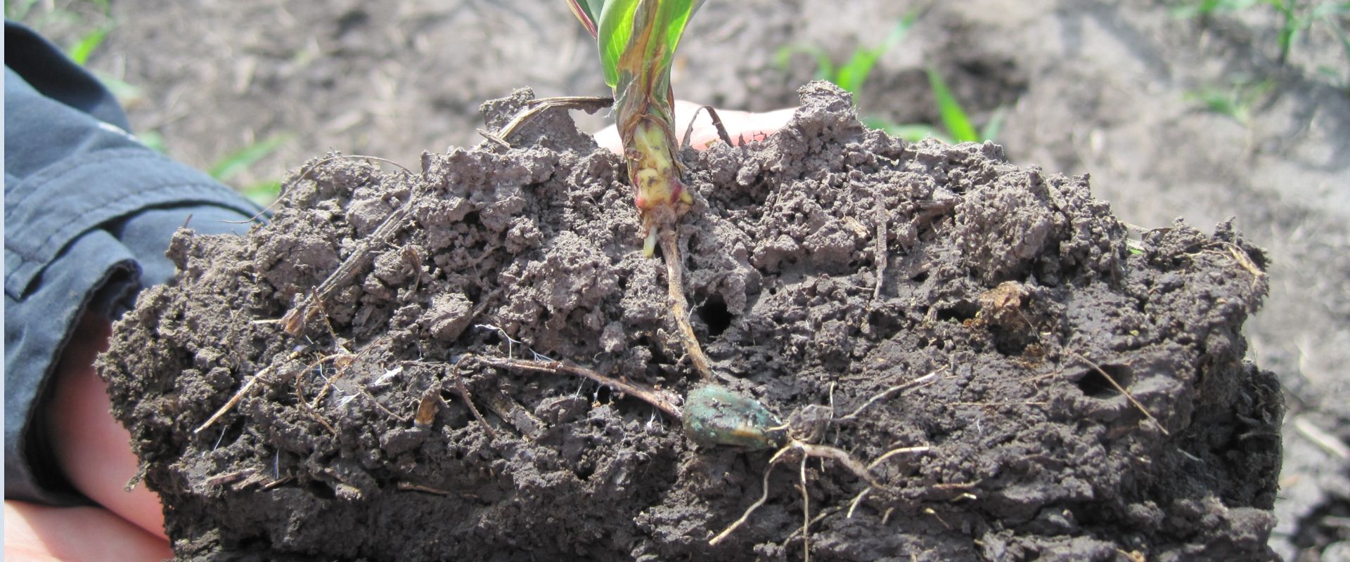 Agrofil-SZMI Kft.