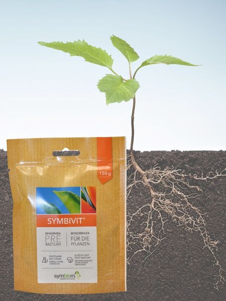 Symbivit 150 g BIO