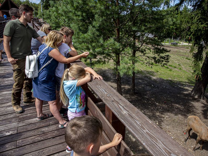 Kétéves az Erdő Háza