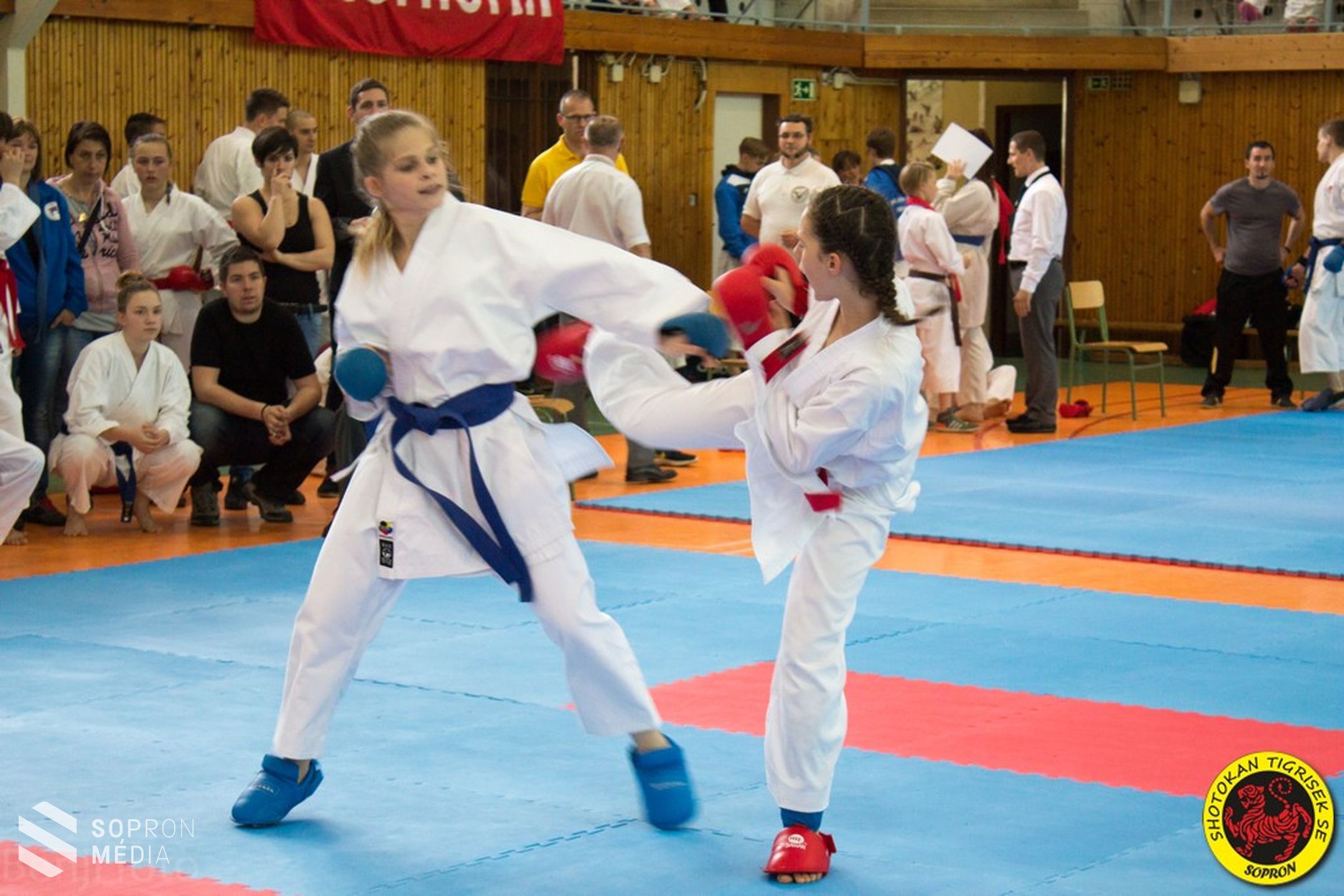 Shotokan Tigrisek SE.: Éremeső Zalaegerszegen