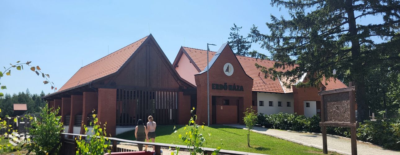 4  éves az Erdő Háza