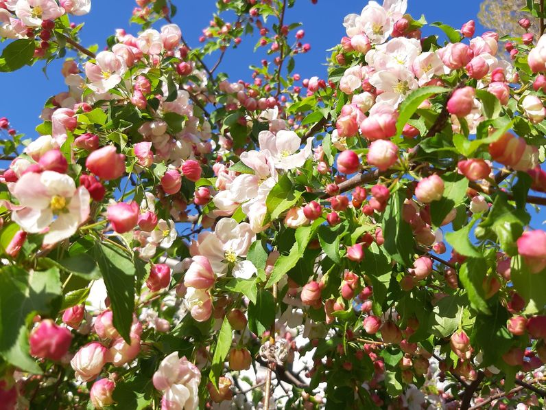 Jönnek a fagyosszentek: most akkor elővegyük újra a télikabátot?
