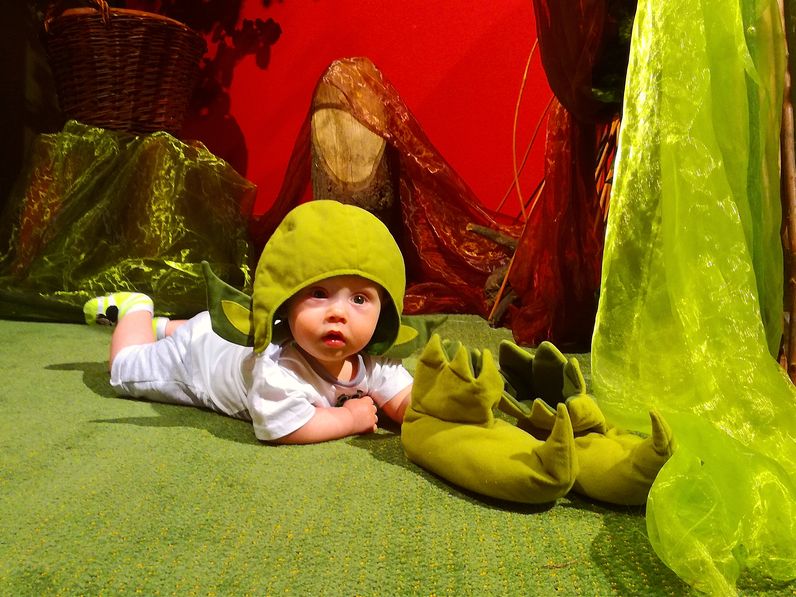 Süsü és barátai megérkeztek Sopronba! - Sok vidám képpel!