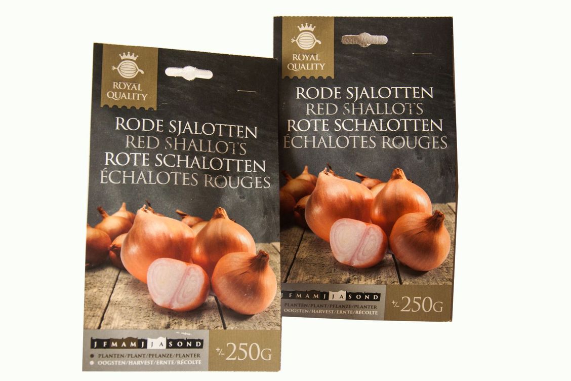 Salottahagyma Red Sun 250g termék képe