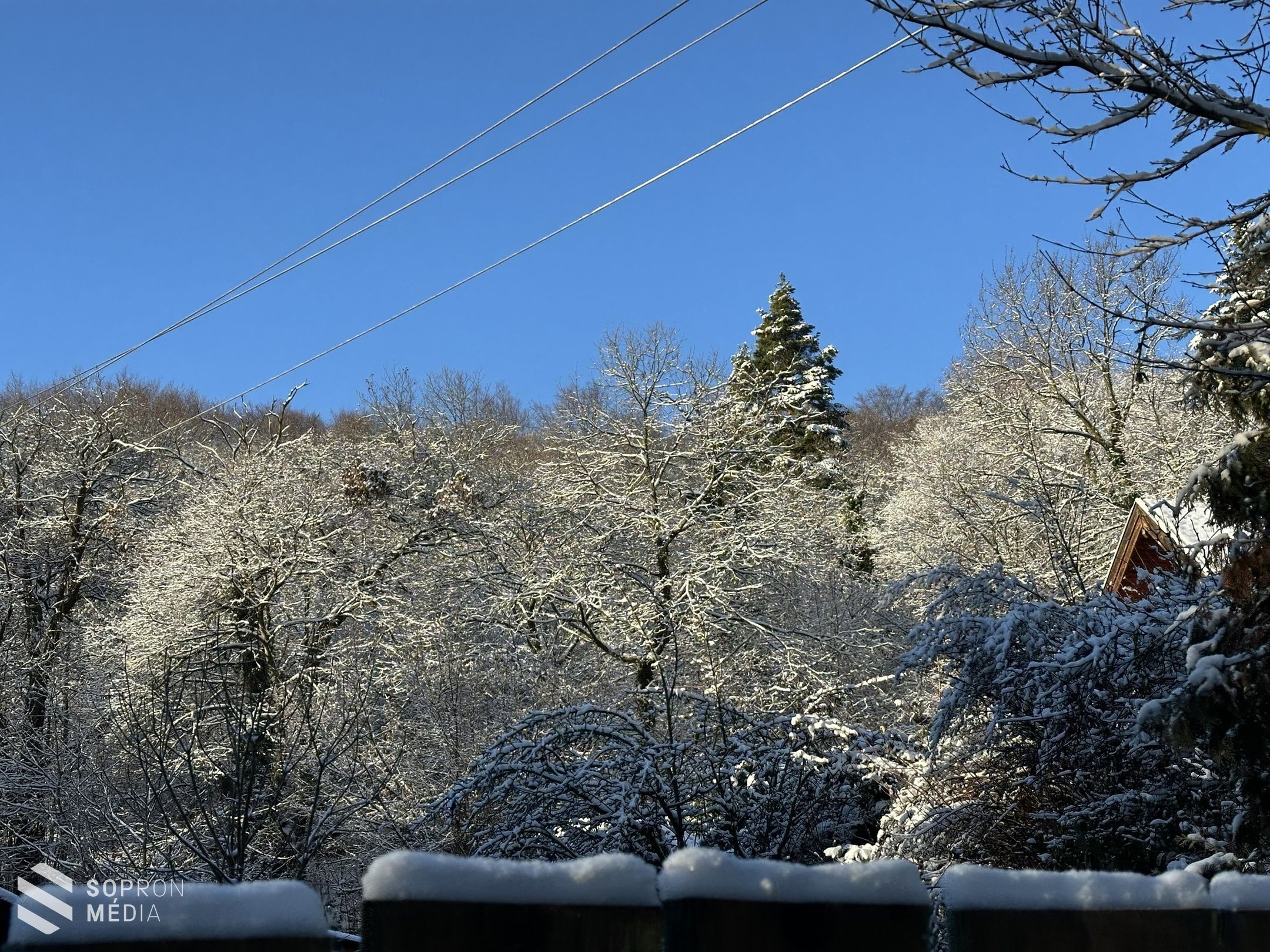 „Járd be velünk!” túra a Soproni-hegységben