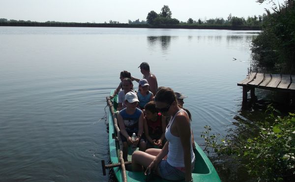 Napközis Tábor 2013