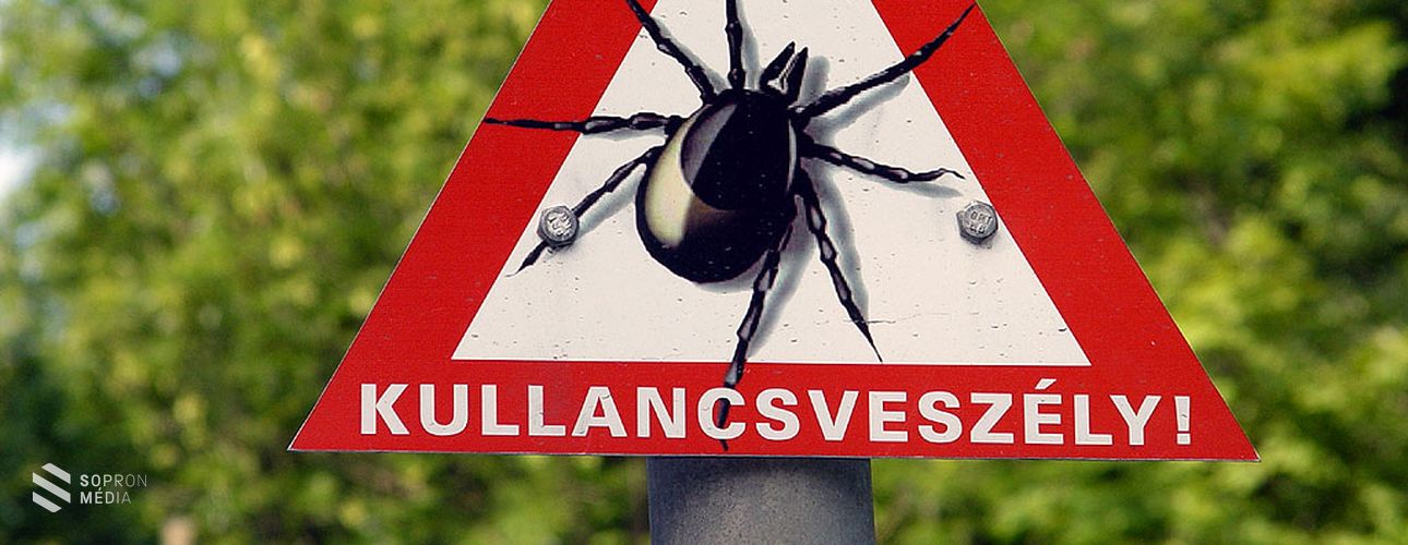 Erős lesz az idei kullancsszezon!