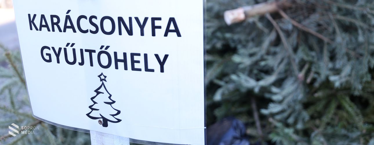 Ezeket a karácsonyfa gyűjtőhelyeket jelölte ki a Sopron Holding idén