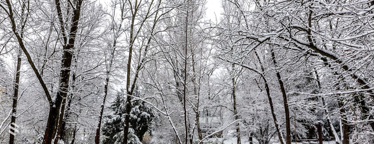 Akár 10 cm hó is eshet a következő napokban Sopronban!