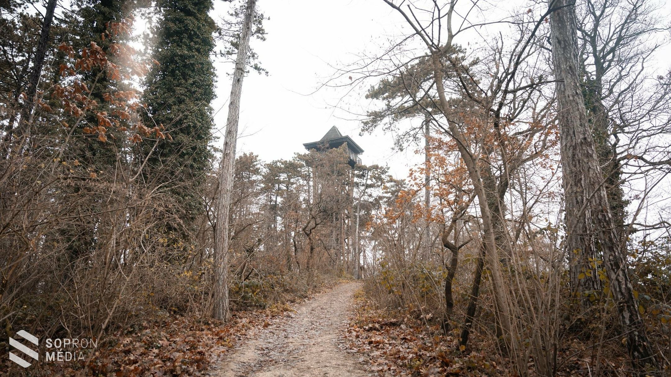 20 éves a Sörházdombi kilátó