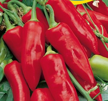 Fűszerpaprika Kalorez 25 g