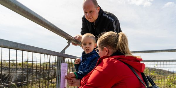 Itt szalad a nyulacska!