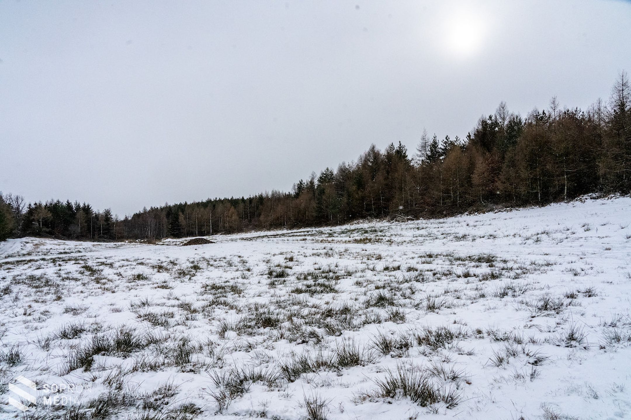 Kiemelt szerepe van télen a vadak etetésének