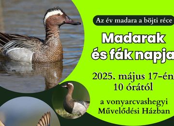 MADARAK ÉS FÁK NAPJA Vonyarcvashegyen