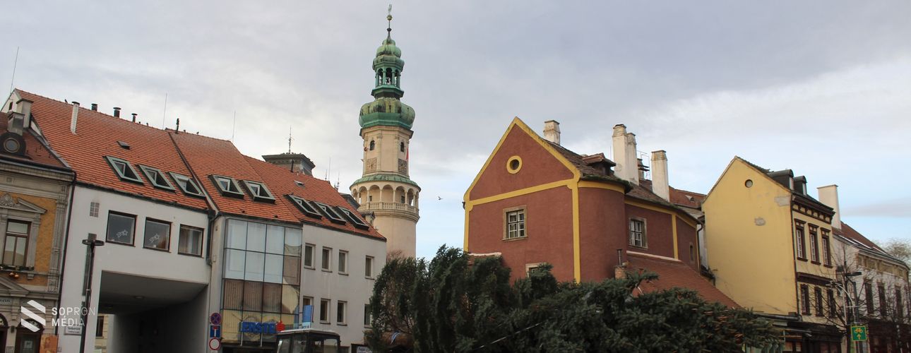 Megérkezett a város fenyőfája