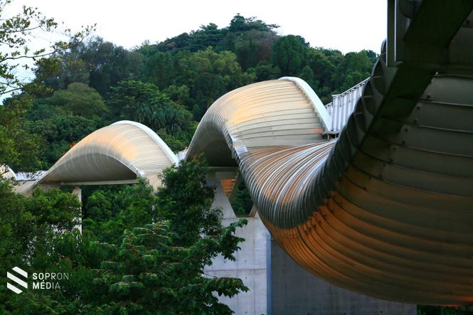 2. Henderson Waves híd 