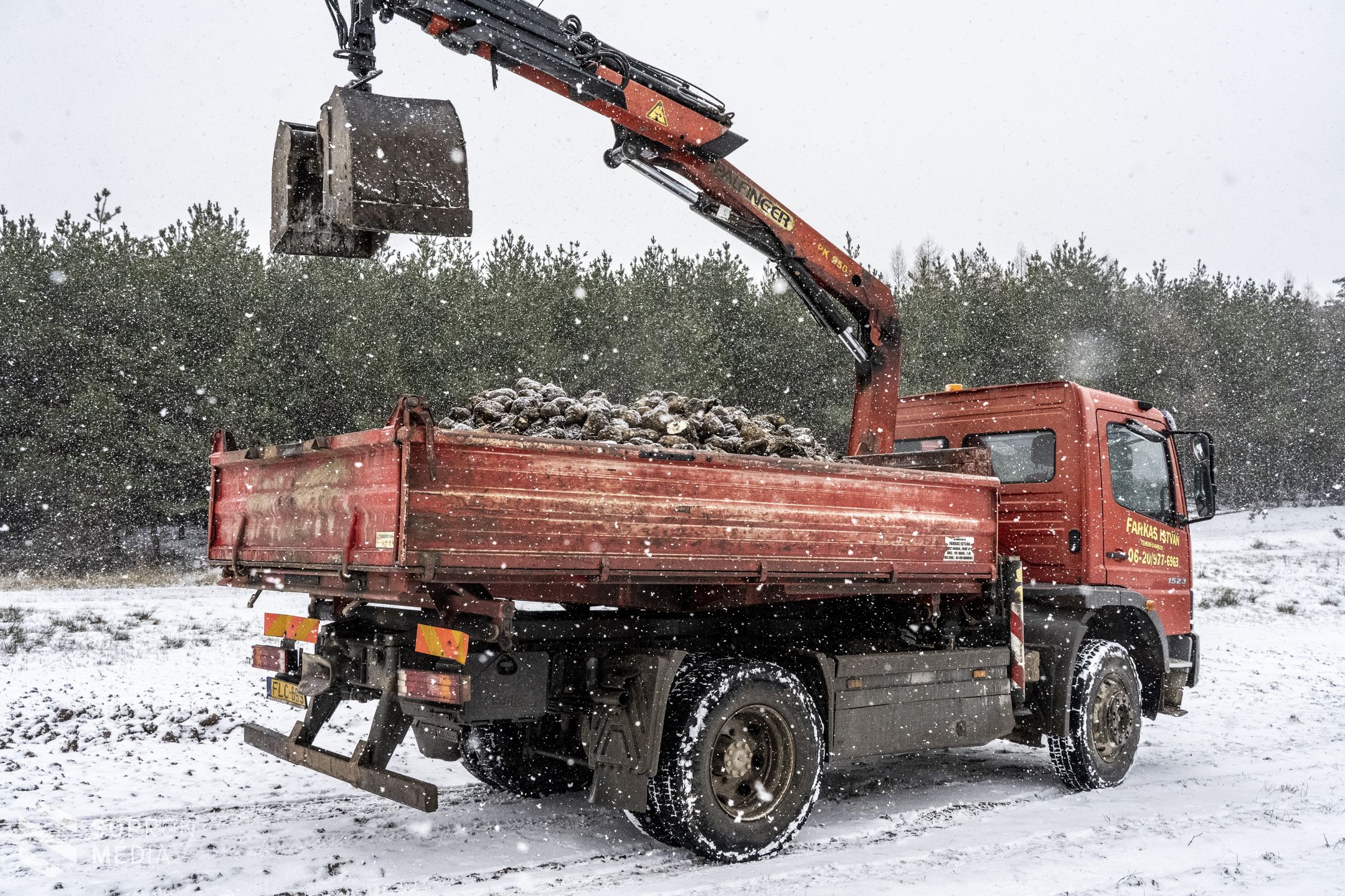 Kiemelt szerepe van télen a vadak etetésének