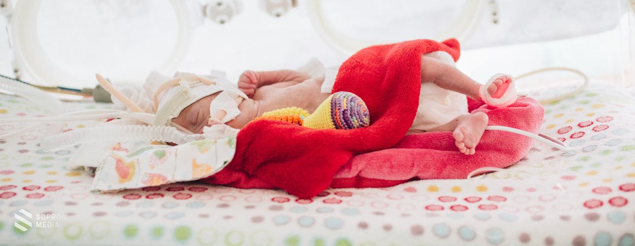 10 év alatt 30 ezer koraszülött babát segítettek a különleges horgolt polipok