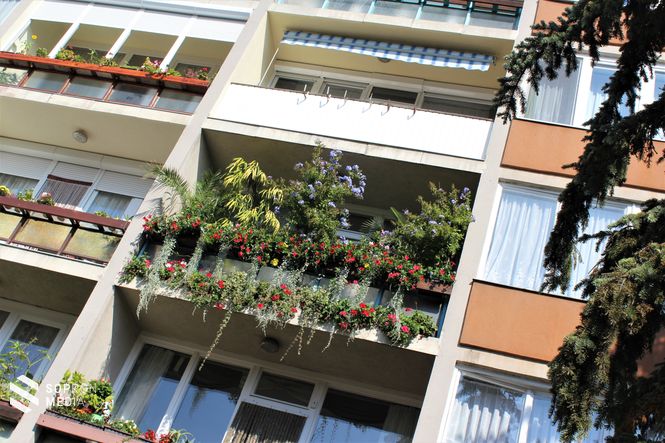 Horváth Sándor az Erkély, terasz, balkon kategóriában nyert