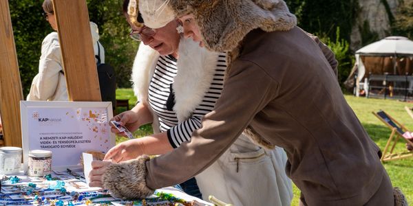 Itt szalad a nyulacska!