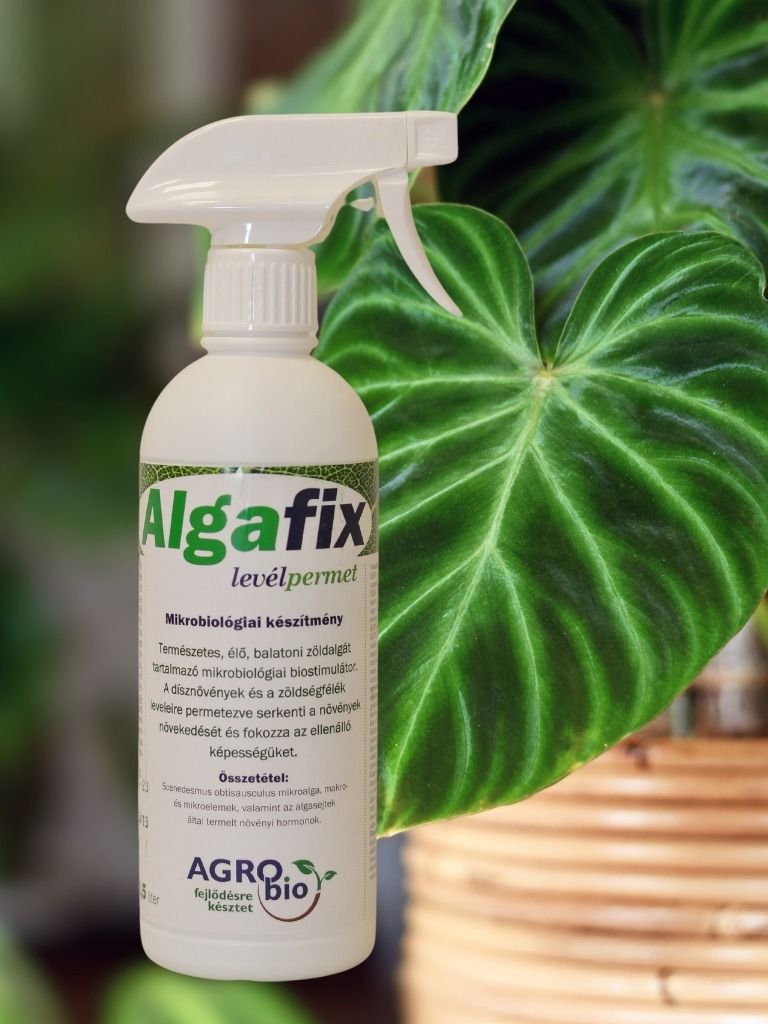 Algafix levélpermet 500 ml BIO termék képe