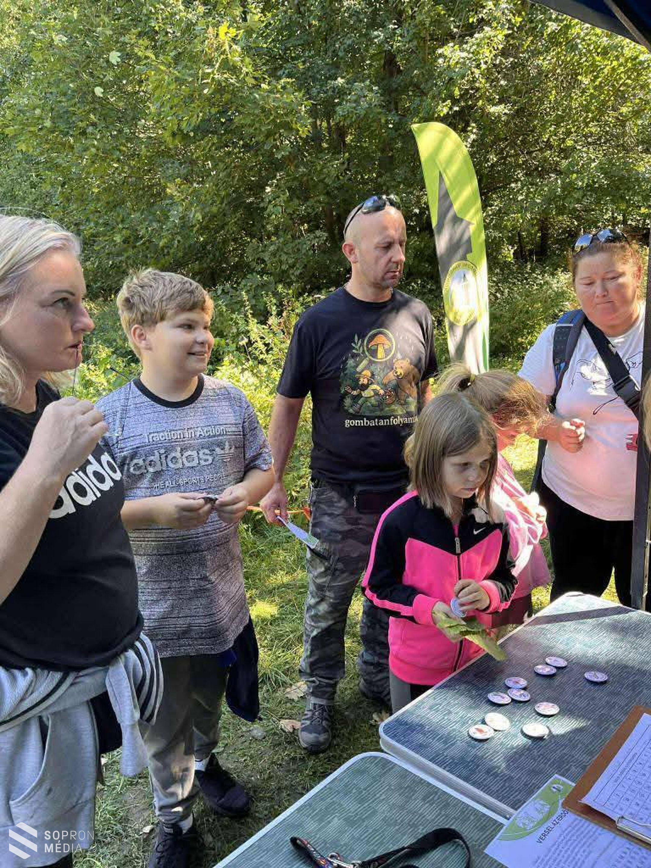 Verselt az erdő a Soproni Parkerdőben