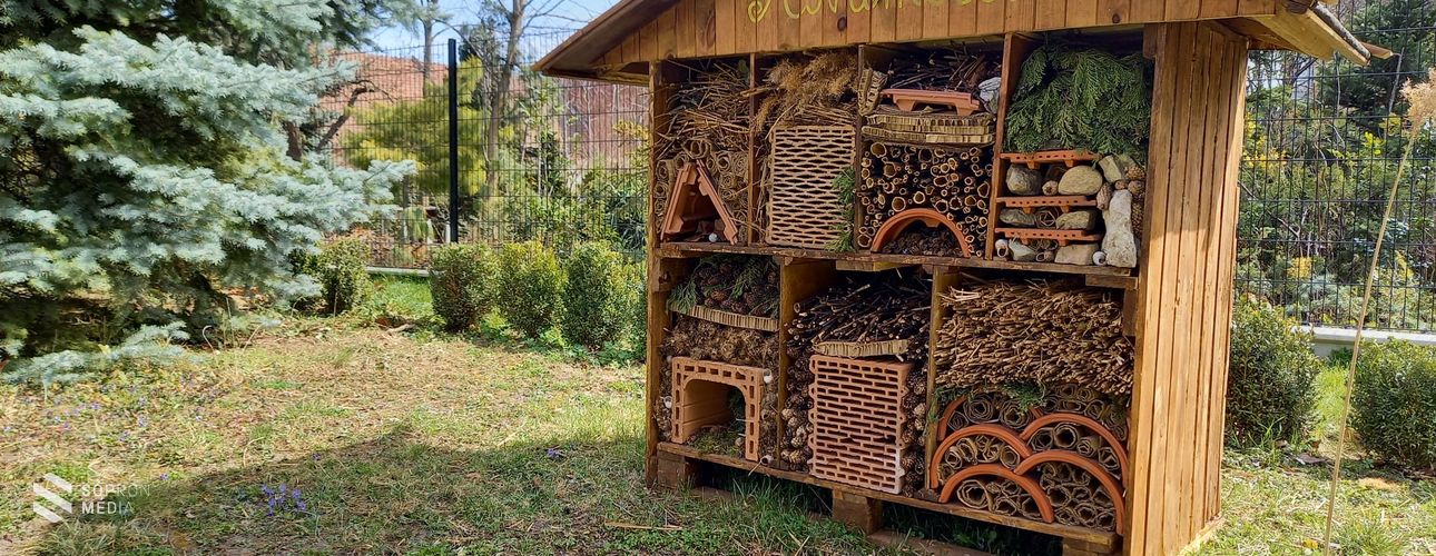 Rendhagyó órákat szervez a Soproni Múzeum a beporzók napján