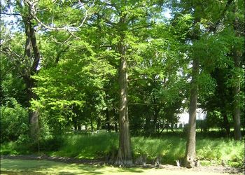 Kastélypark Borsodivánka