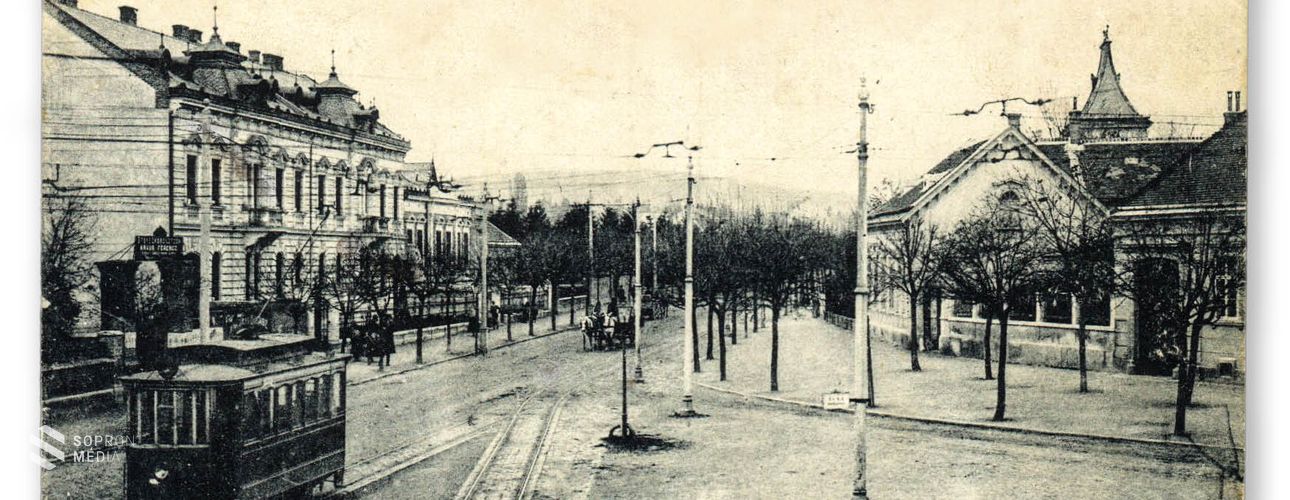 Ahol az utak elágaznak