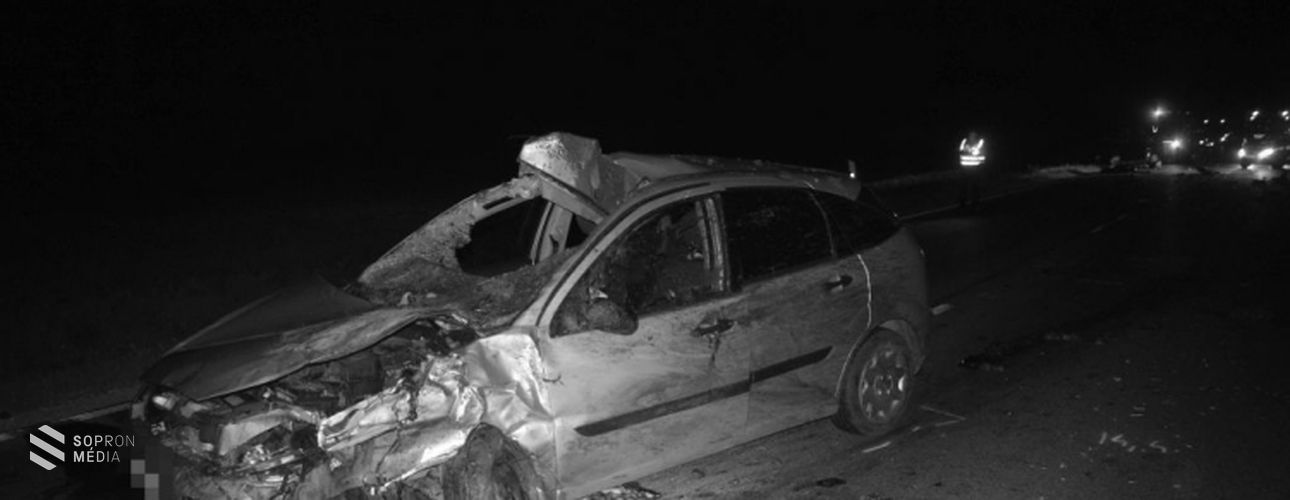 Egy nap alatt kétszer is vadon élő állat okozott balesetet a megye útjain