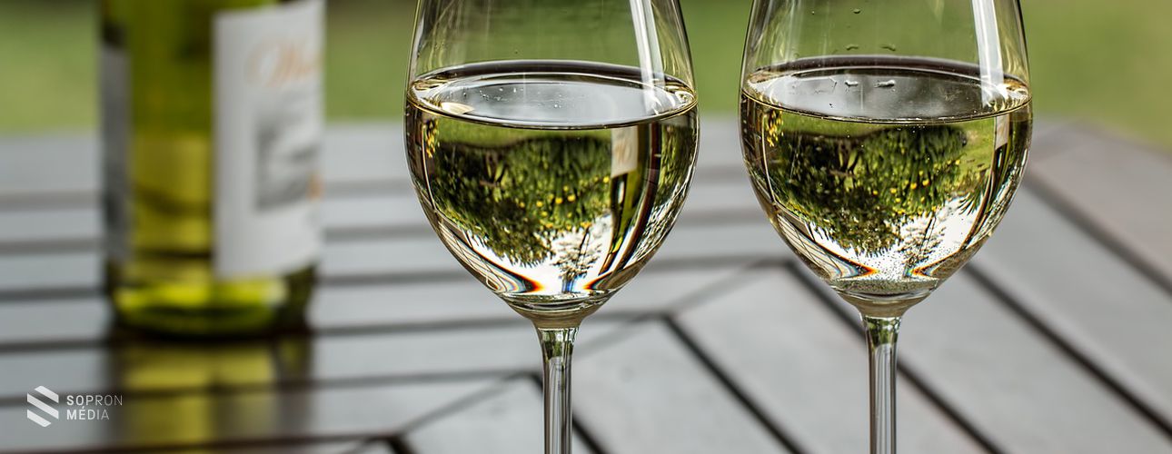 A Steigler Pince nedűje is felkerült a legjobb magyar borok listájára