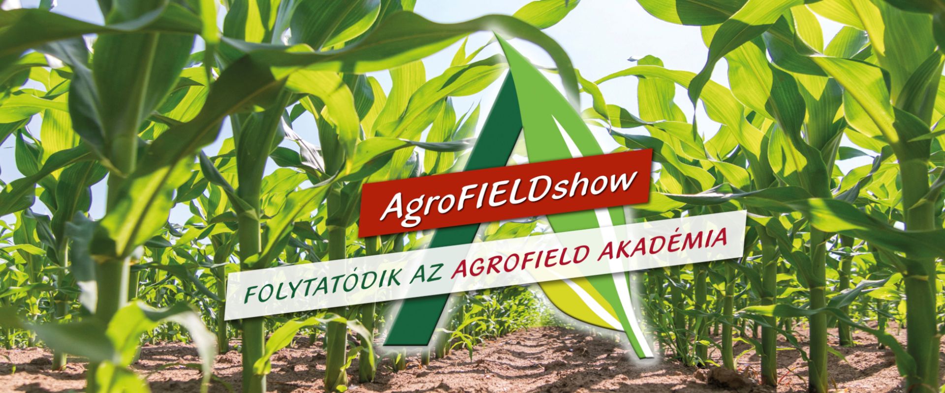 Agrofil-SZMI Kft.