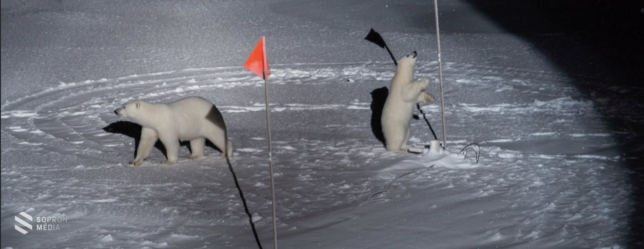 Soproni fotós nyerte a World Press Photo 2020 díját környezet kategóriában!
