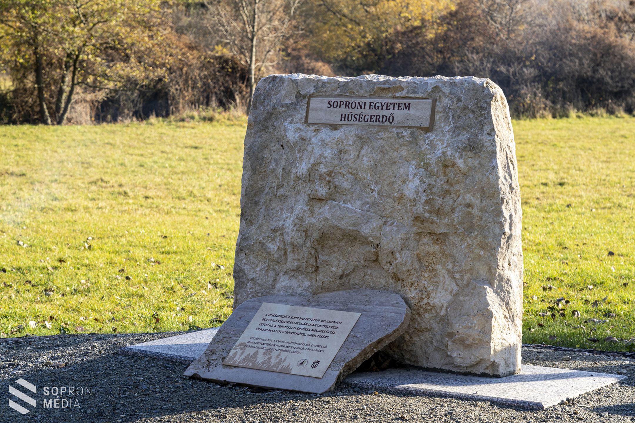 Közel 800 facsemetével gazdagodott a Hűség-erdő