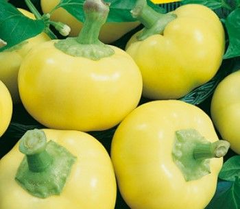 Almapaprika csípős 5 g termék képe