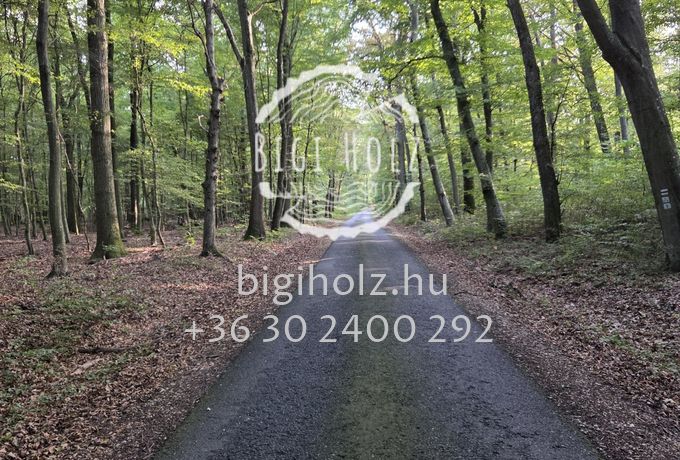 Így dolgozunk 2026