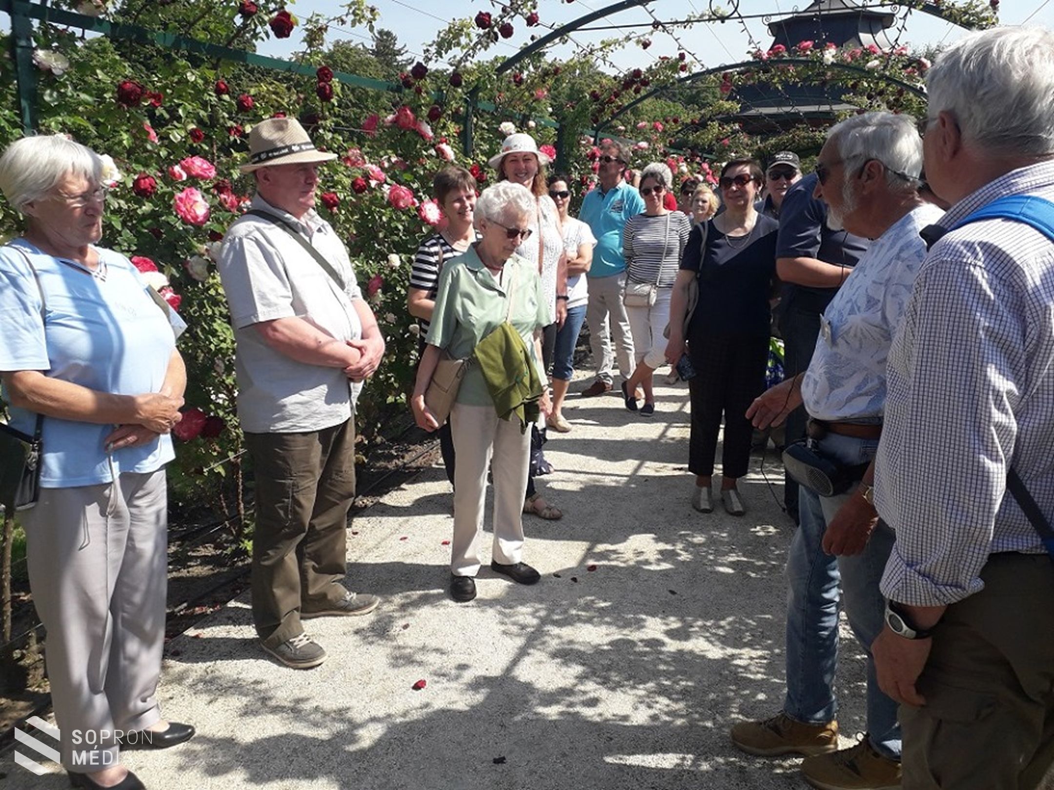 Megnyitotta kapuit a fertődi Esterházy-kastély rózsakertje