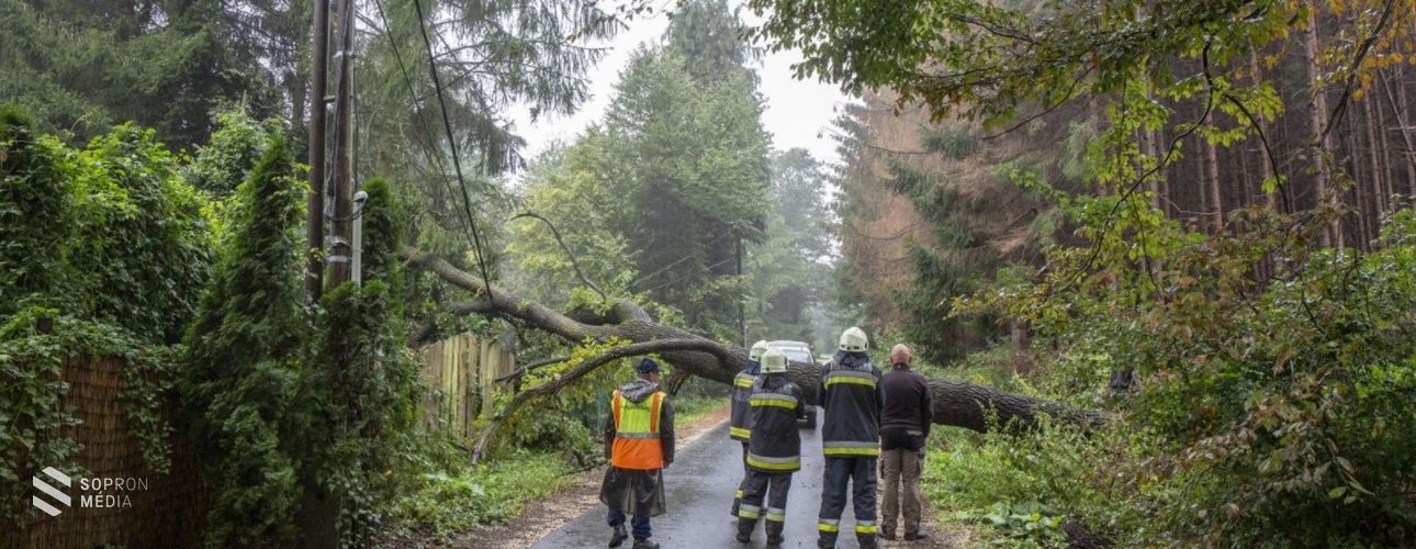 Térségünkben is sok gondot okozott a viharos szél 