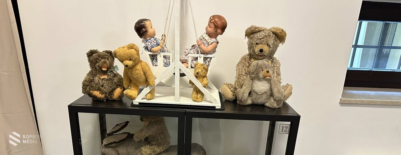 Mackóünnep a Soproni Múzeumban