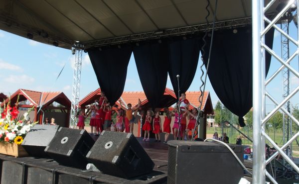 25. Falunap 2014. augusztus 9.