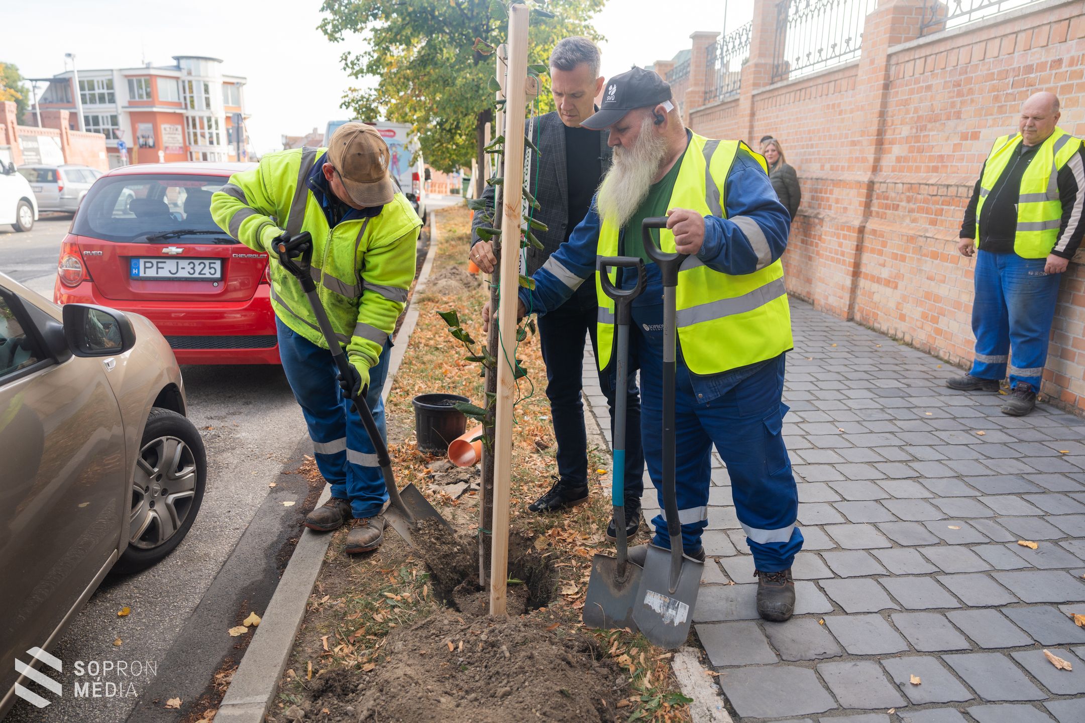 Újabb pontjához érkezett az „1000 új fát ültetünk” program